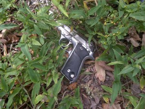 pistola