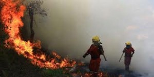 INCENDIOS_FORESTALES