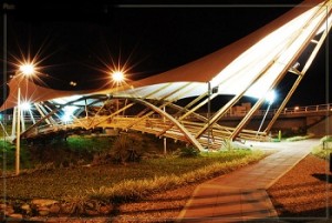 guadua-puente