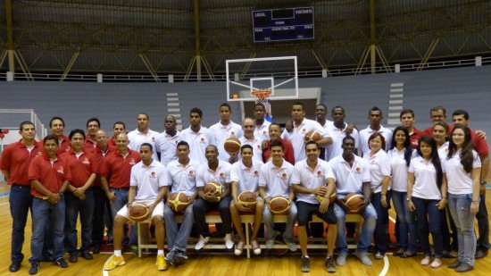halcones