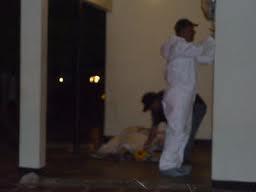 SAN_BERNARDO_MUERTOS
