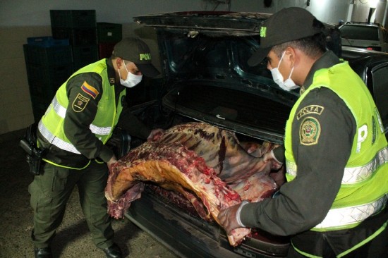 CARNE_INCAUTADA