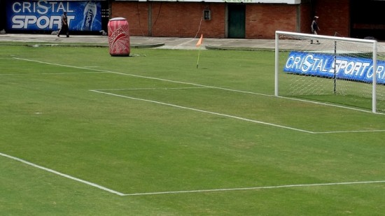 GRAMILLA_DEL_ESTADIO