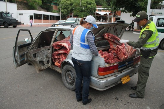 INCAUTADA_CARNE_DE_CONTRABANDO