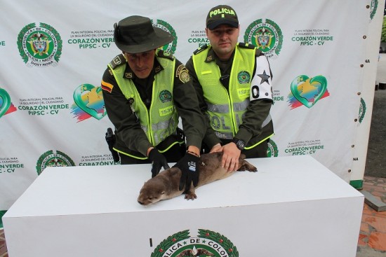 NUTRIA 2