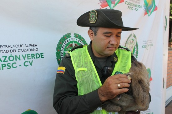 OSO-PEREZOSO
