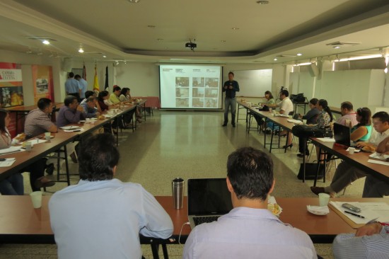 arcillas competitivas