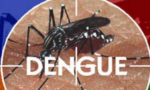 1350915447_Dengue