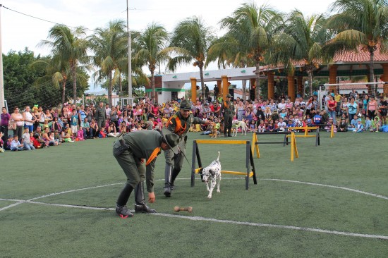 CELEBRAR CON SEGURIDAD LOS EVENTOS PROGRAMADOS