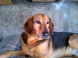 IMG-20130325-00584