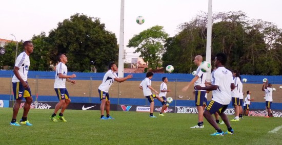 P1200120 (1)