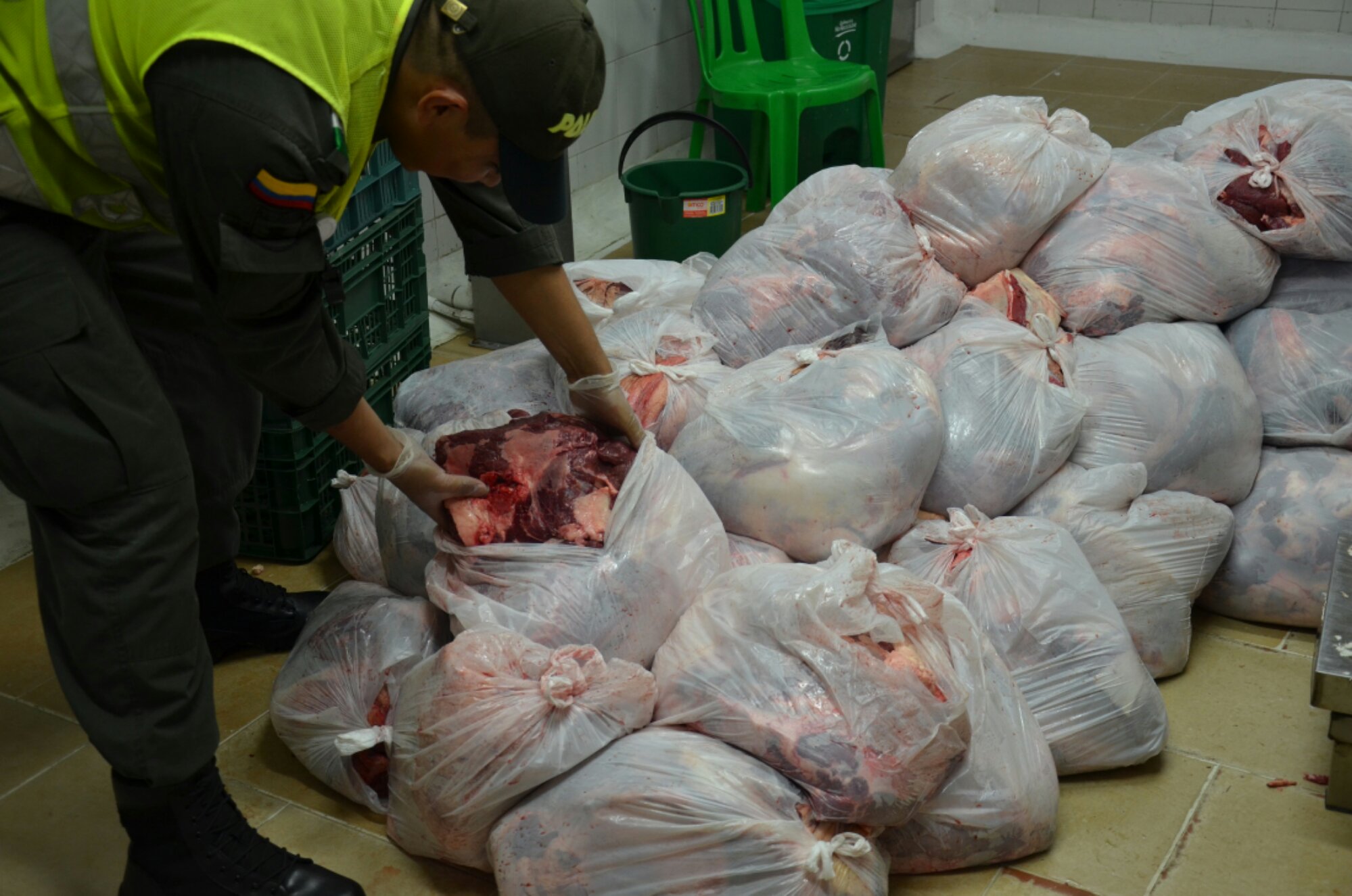 CARNE INCAUTADA.JPG image