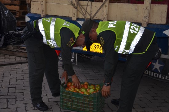 TOMATE DE CONTRABANDO (2)