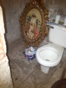 coca virgen