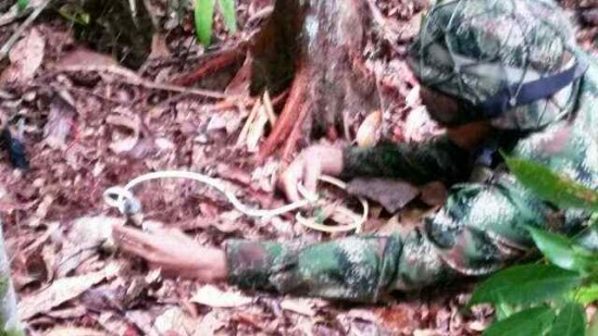 FOTOS ARTEFACTOS EXPLOSIVOS (2)