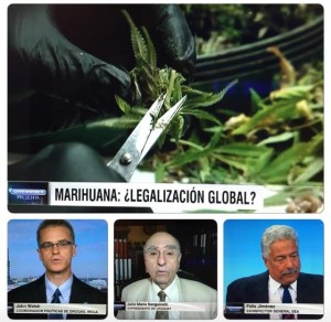 OPPENHEIMER Marihuana2