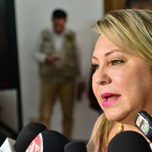 Cecilia Soler de Villamizar, Gestora social (Software Para Detectar Contenido Sexual)