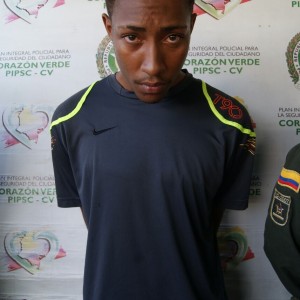 Michel Yhose Vergara Walcott