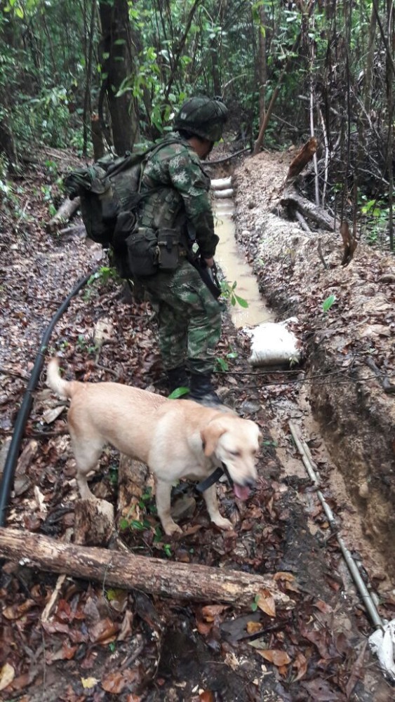 desmantelan hidrocarburos ejercito (4)