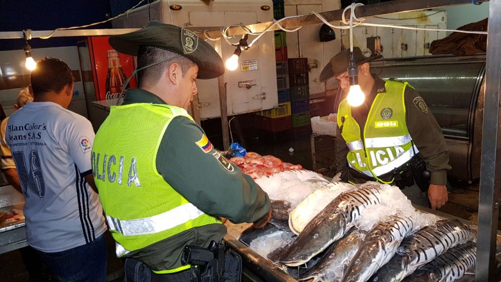 pescado_incautado (1)