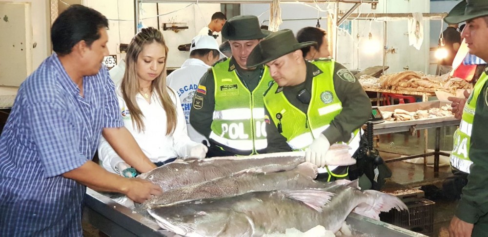 pescado_incautado (3)