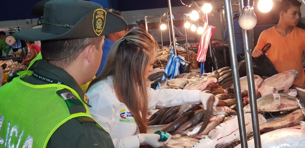 pescado_incautado (4)
