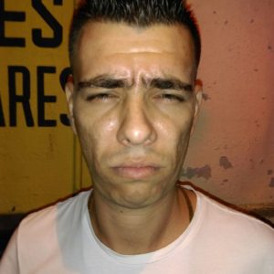 andres reyna alvarez alias el mono