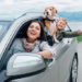 Happy family look out from car windows