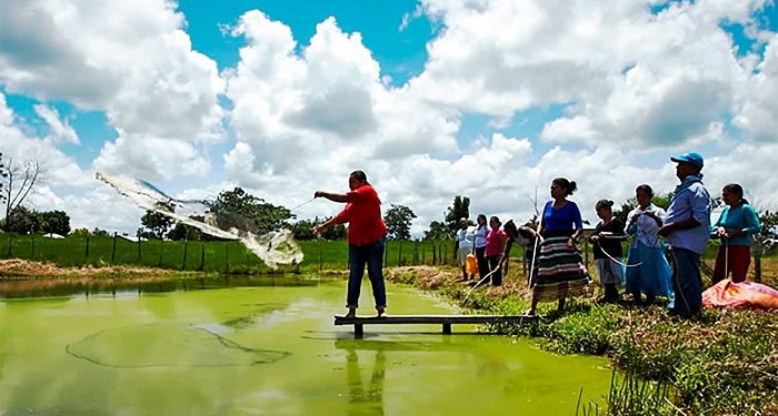 Prosperidad Social invertirá $98 mil millones para la atención de más de 13 mil familias indígenas y afrocolombianas
