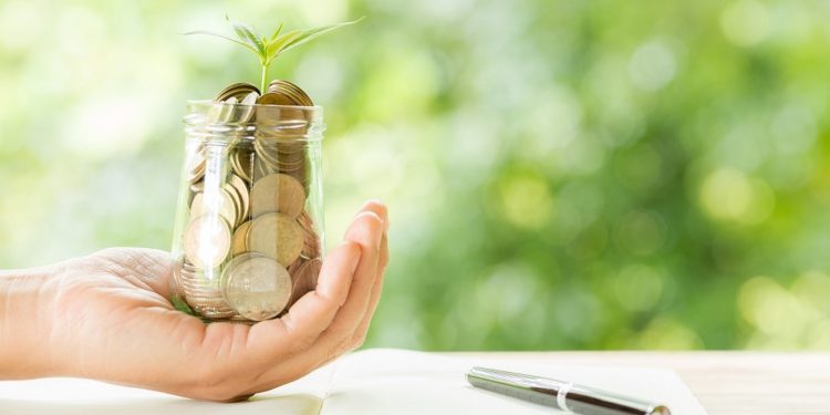 Woman hand holding plant growing from coins bottle in the on blurred green natural background