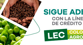 Piezas-finagro_BANNER-SECCION
