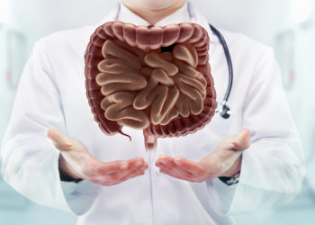 Doctor with stethoscope and digestive system on the  hands in a hospital. High resolution.
