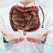 Doctor with stethoscope and digestive system on the hands in a hospital. High resolution.