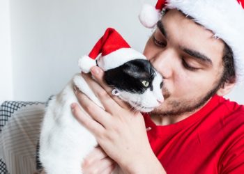 A young Caucasian man in a Santa Claus hat kissing with his white black and cat