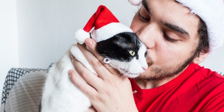 A young Caucasian man in a Santa Claus hat kissing with his white black and cat
