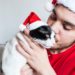 A young Caucasian man in a Santa Claus hat kissing with his white black and cat
