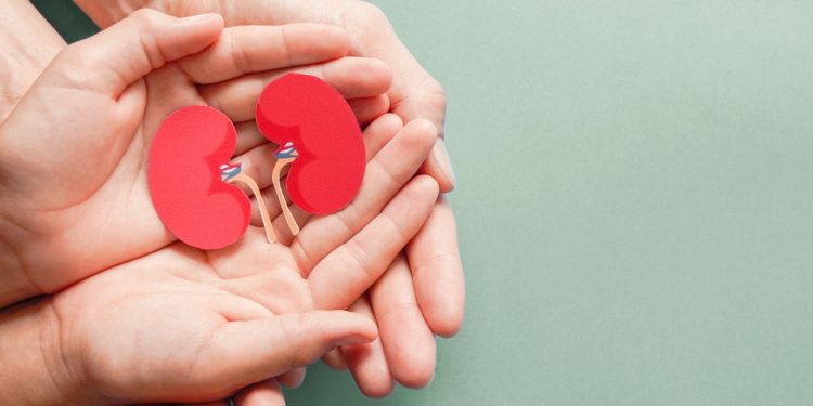 Adult and child holding kidney shaped paper on textured blue background, world kidney day, National Organ Donor Day, charity donation concept