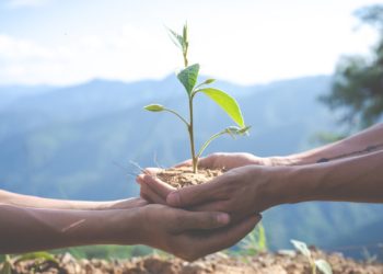 Concept of environmental conservation in the garden for children.