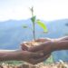 Concept of environmental conservation in the garden for children.