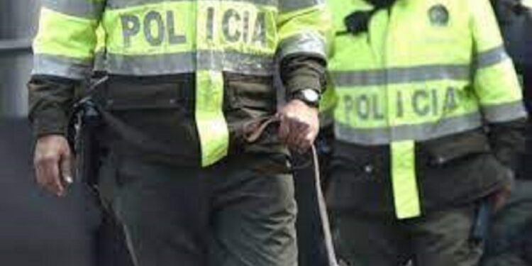 foto de referencia