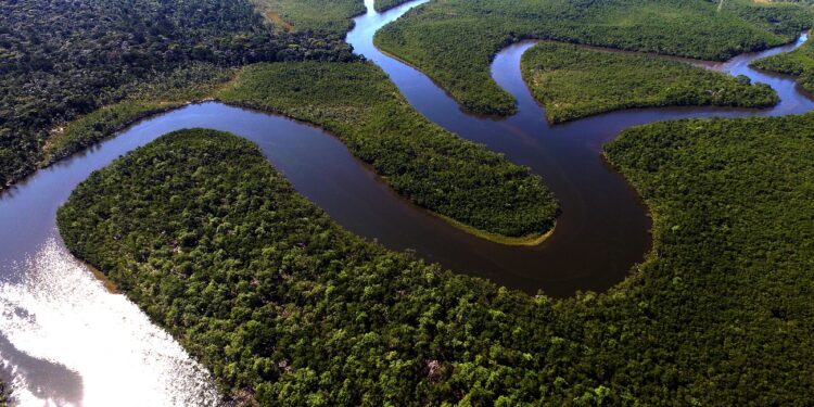 Top View of Amazon rainforest, Brazil; Shutterstock ID 410383780