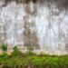 Aged empty wall with green grass
