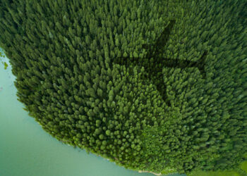 Shadow of airplane over forest and a lake
