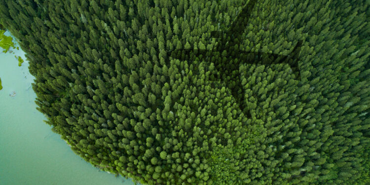 Shadow of airplane over forest and a lake