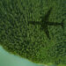 Shadow of airplane over forest and a lake