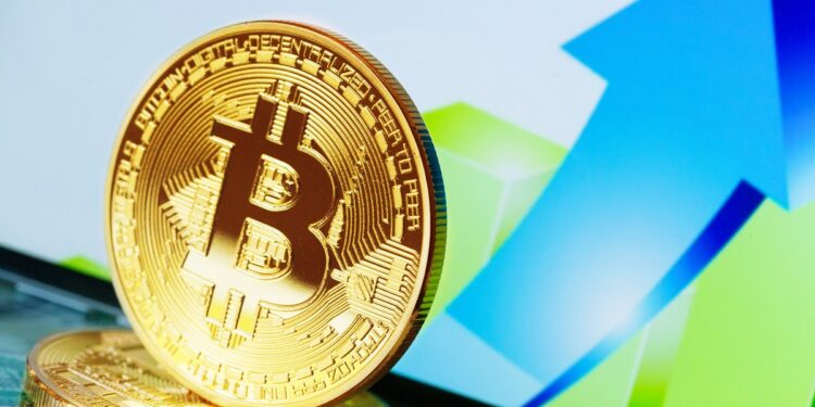 bitcoin crypto currency diagram