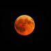 A beautiful shot of a red moon, total lunar eclipse with a black night sky in the background