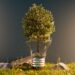 realistic tree in broken bulb, environment and technology concept. 3d illustration rendering