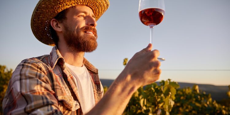 Low angle of cheerful male oenologist standing with glass of red wine in garden in sunset and digestating tasty drink