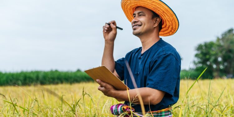 Asian middle aged farmer man wearing straw hat write on clipboard in rice field with smile during keep data with Smart farming Agriculture technology and organic agriculture